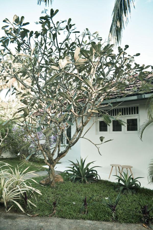 Casa Gitano Hotel Ahangama Luaran gambar